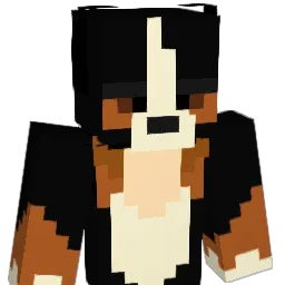 supersonicboom12 Minecraft avatar bust