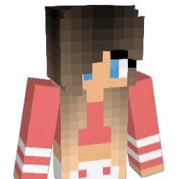 supersun96 Minecraft avatar bust