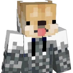 supertoon3 Minecraft avatar bust