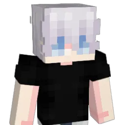suppressor4 Minecraft avatar bust