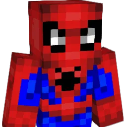 sur_finn Minecraft avatar bust