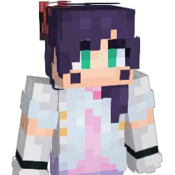 surely419 Minecraft avatar bust