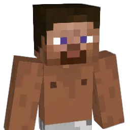 surferdude375 Minecraft avatar bust