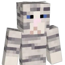 surprisedonkey6 Minecraft avatar bust