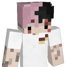susboiflo Minecraft avatar bust