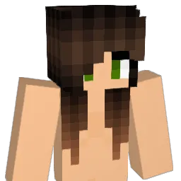 svsdmr Minecraft avatar bust