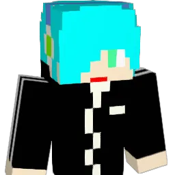 sw1104 Minecraft avatar bust