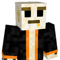 sw1m37 Minecraft avatar bust