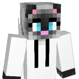 swageren Minecraft avatar bust
