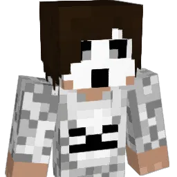 swecg2 Minecraft avatar bust