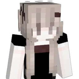 swedrix's Minecraft skin