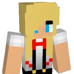 sweetshot47 Minecraft avatar bust