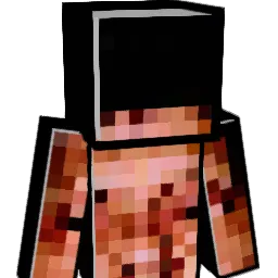 swell_brain Minecraft avatar bust