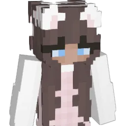 swiderek88 Minecraft avatar bust