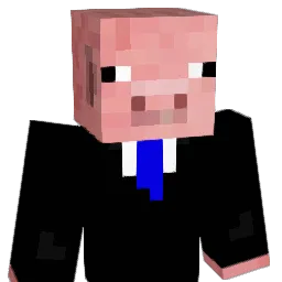 swimfishyswim200 Minecraft avatar bust