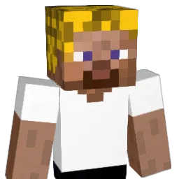 swimmer4life28 Minecraft avatar bust