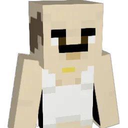 swipa916 Minecraft avatar bust