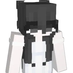 swirlycats Minecraft avatar bust