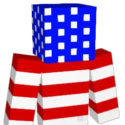 swish11 Minecraft avatar bust