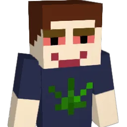 swishosh Minecraft avatar bust