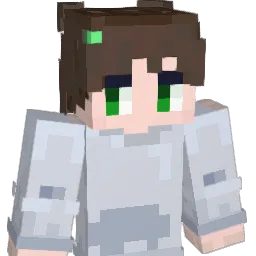 swj244 Minecraft avatar bust