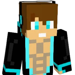 swoosh4 Minecraft avatar bust