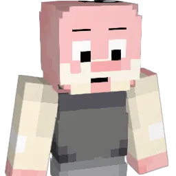 sxmV Minecraft avatar bust