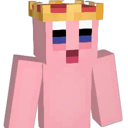 sydkneeeeeeeee Minecraft avatar bust