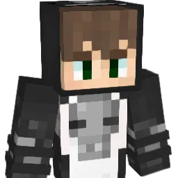 sygi8 Minecraft avatar bust