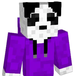 synsyn12 Minecraft avatar bust