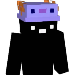 syooo_ga1122 Minecraft avatar bust