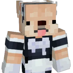 syscall_'s Minecraft skin