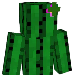 szwed500 Minecraft avatar bust