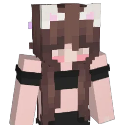 t04st13 Minecraft avatar bust