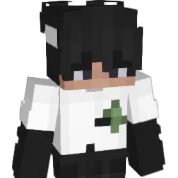 t0m3k11 Minecraft avatar bust
