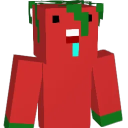 t0m4t0_25 Minecraft avatar bust
