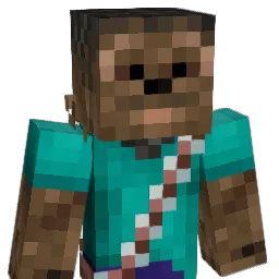t0m_99 Minecraft avatar bust