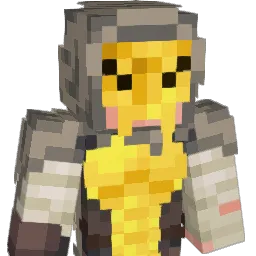 t0rso_