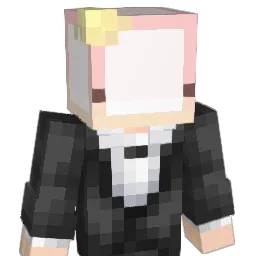 t1230 Minecraft avatar bust