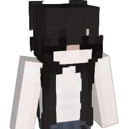 t313sa Minecraft avatar bust