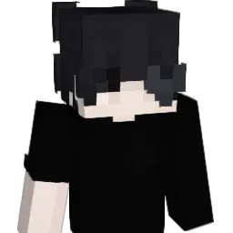 t3oDoREk Minecraft avatar bust