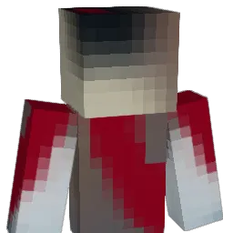 tach221 Minecraft avatar bust