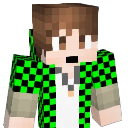 tacoman0828 Minecraft avatar bust