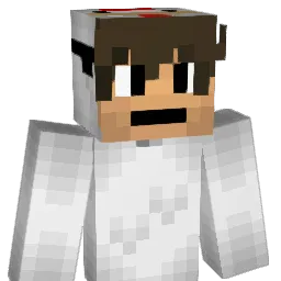 tacomast3r166 Minecraft avatar bust
