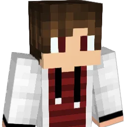 tako543 Minecraft avatar bust