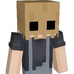 tako9141 Minecraft avatar bust