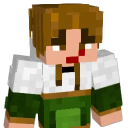 takokin_ Minecraft avatar bust