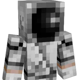 takroy101 Minecraft avatar bust