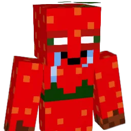 taliiyuh Minecraft avatar bust