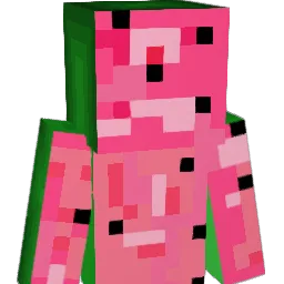 tamcam Minecraft avatar bust